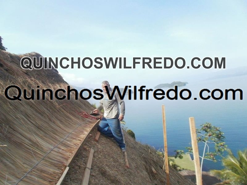 Quinchos Wilfredo