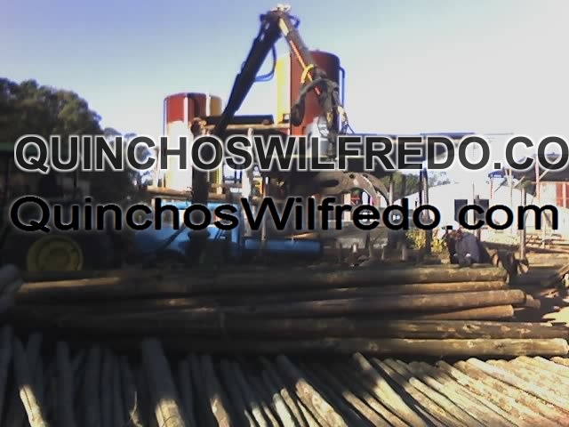 Quinchos Wilfredo