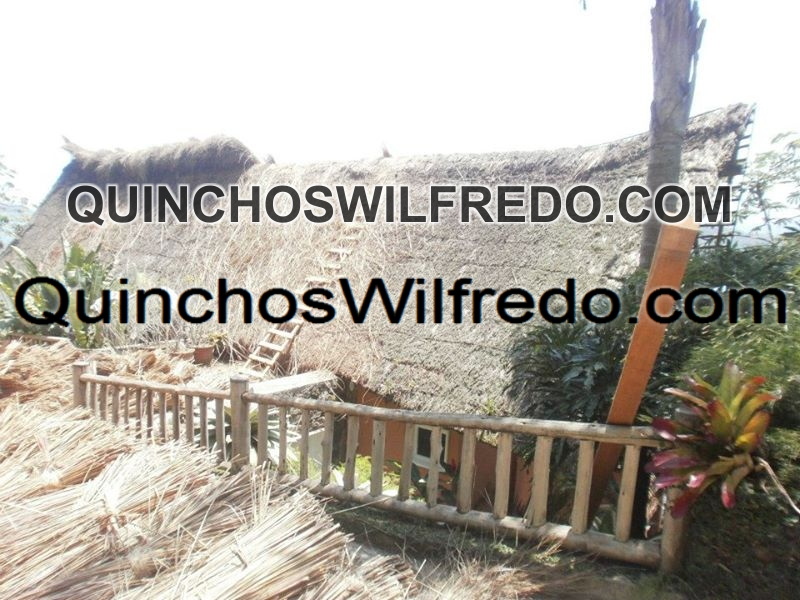 Quinchos Wilfredo