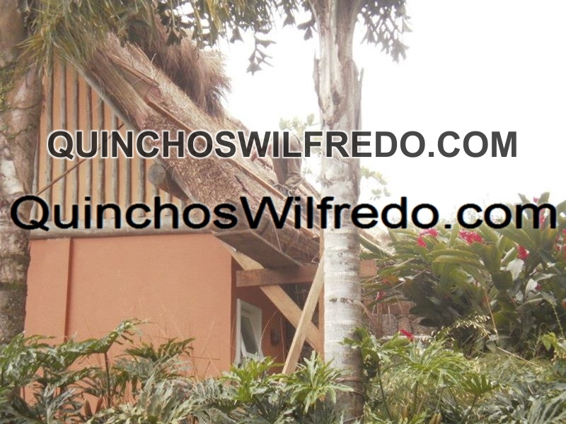 Quinchos Wilfredo