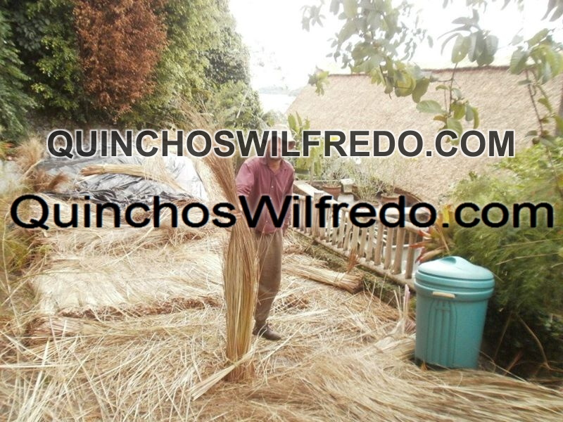 Quinchos Wilfredo