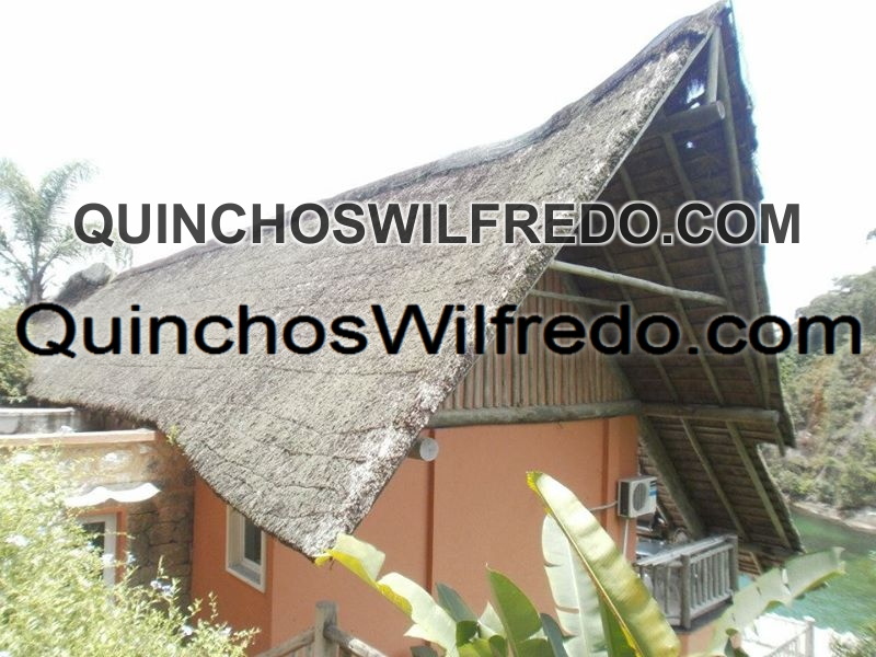 Quinchos Wilfredo