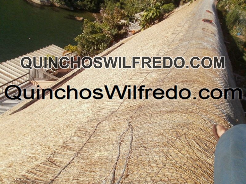 Quinchos Wilfredo