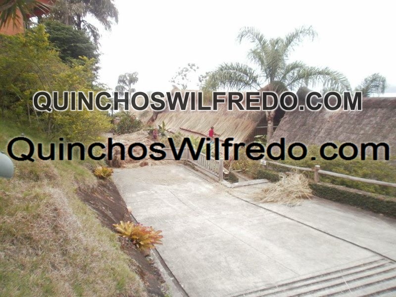Quinchos Wilfredo