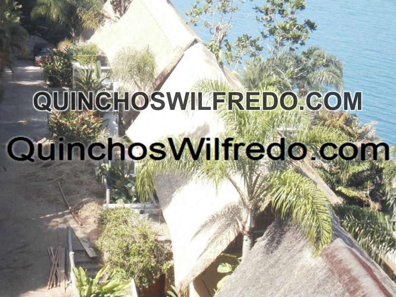 Quinchos Wilfredo