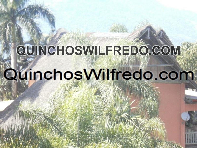 Quinchos Wilfredo