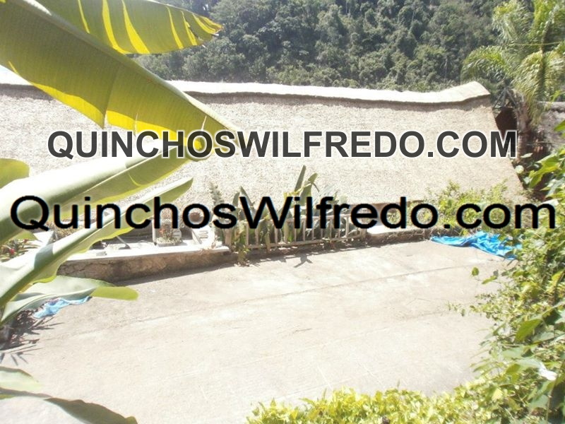 Quinchos Wilfredo