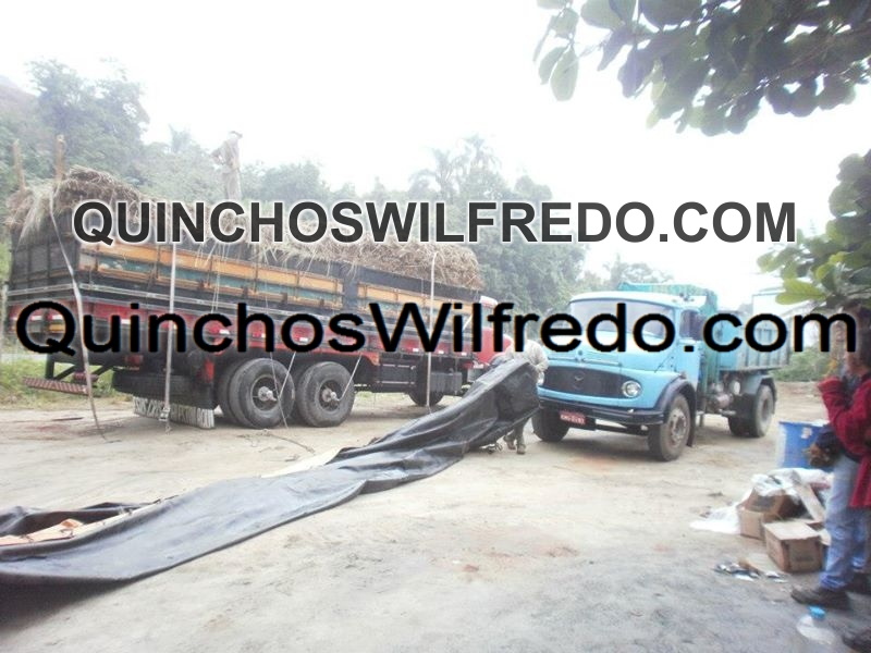 Quinchos Wilfredo