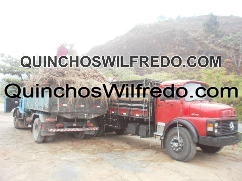 Quinchos Wilfredo