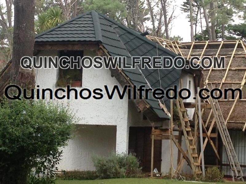 Quinchos Wilfredo