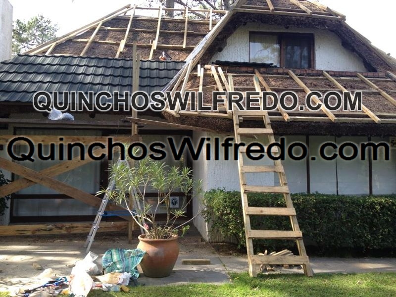 Quinchos Wilfredo
