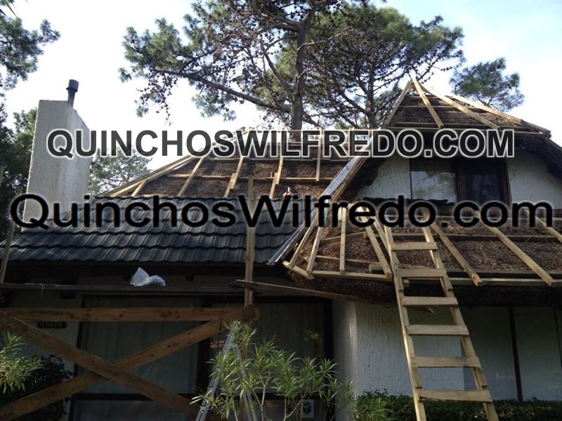 Quinchos Wilfredo
