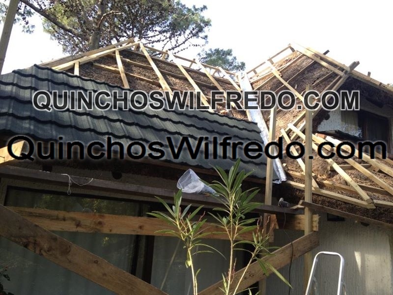 Quinchos Wilfredo