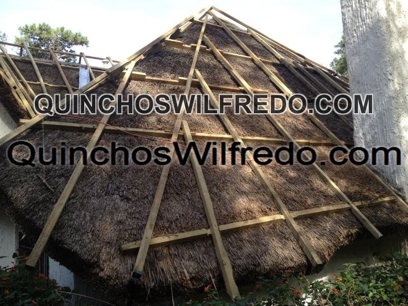 Quinchos Wilfredo