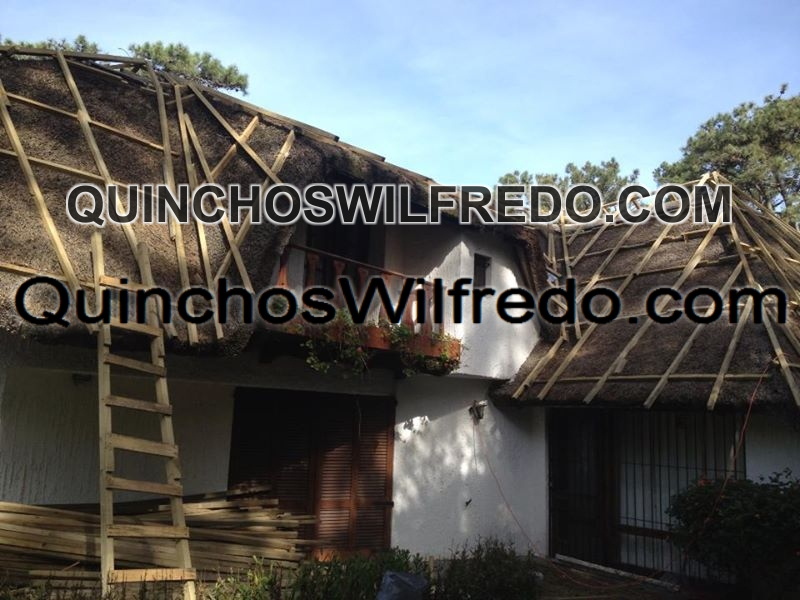 Quinchos Wilfredo