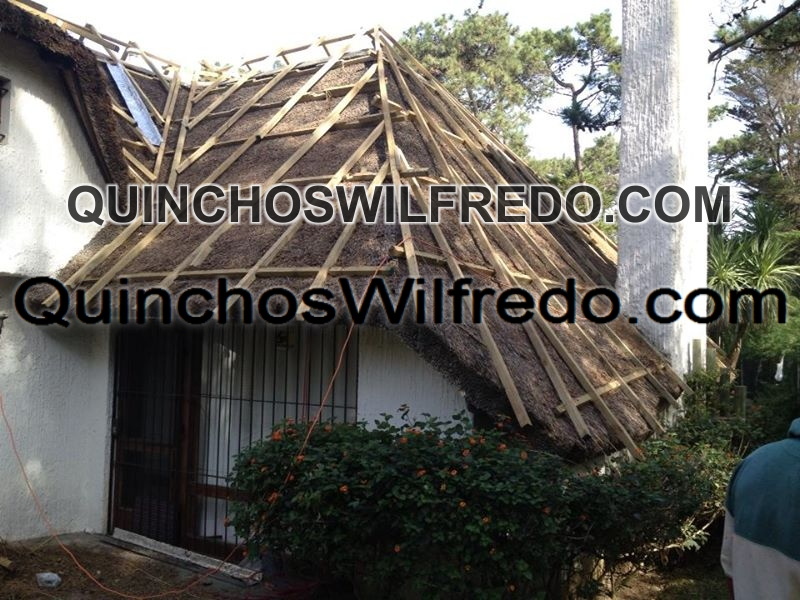 Quinchos Wilfredo