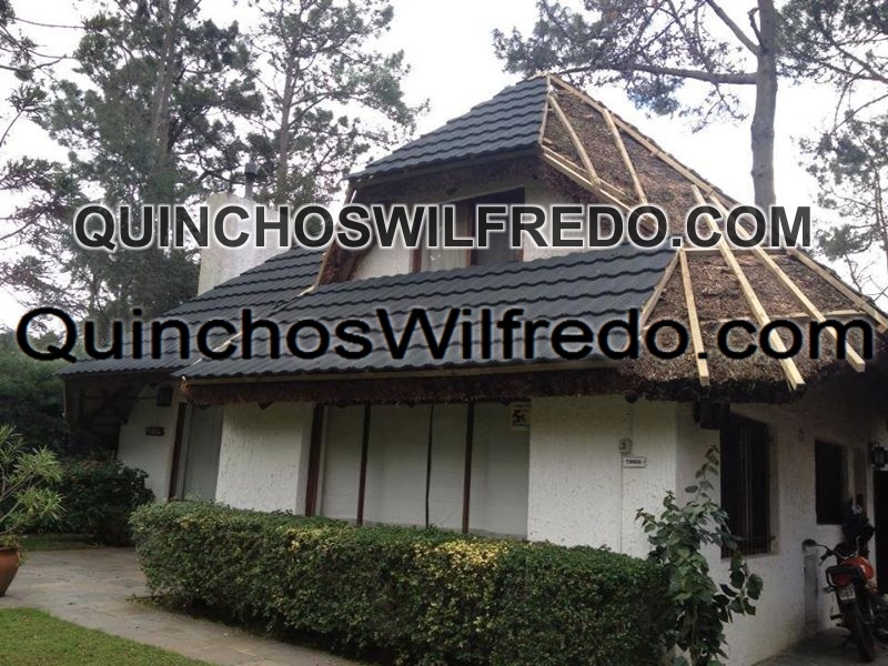 Quinchos Wilfredo