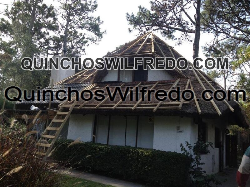 Quinchos Wilfredo