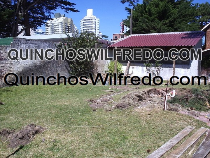 Quinchos Wilfredo