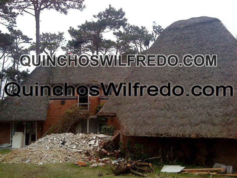 Quinchos Wilfredo