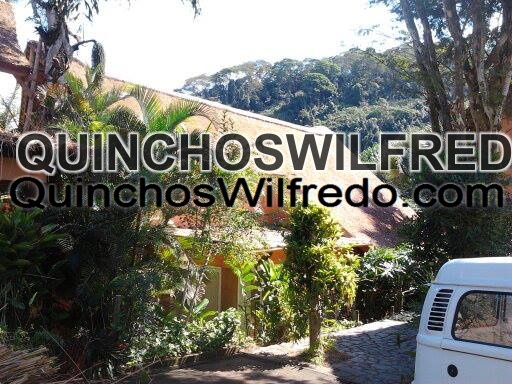 Quinchos Wilfredo