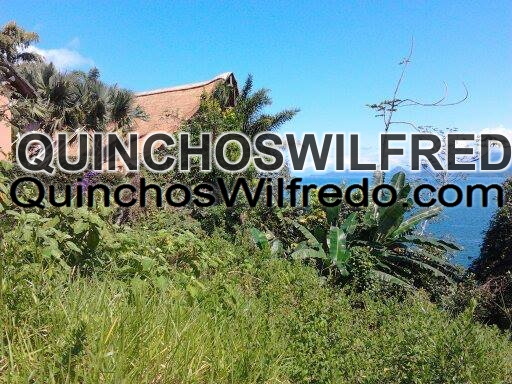 Quinchos Wilfredo