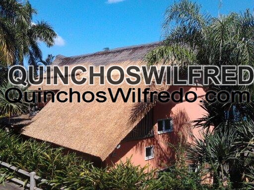 Quinchos Wilfredo
