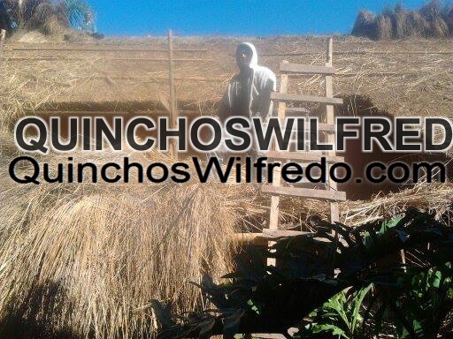 Quinchos Wilfredo