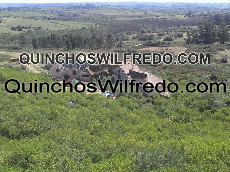 Quinchos Wilfredo