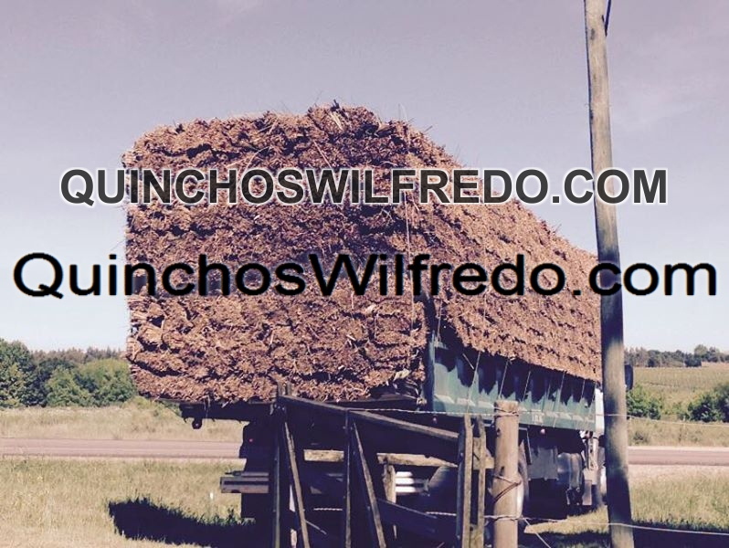 Quinchos Wilfredo