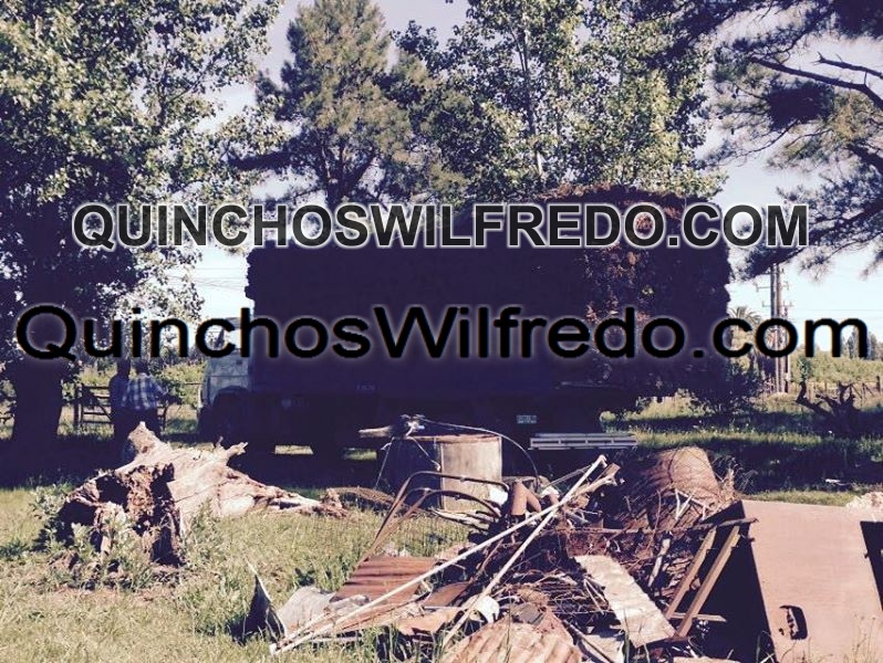 Quinchos Wilfredo