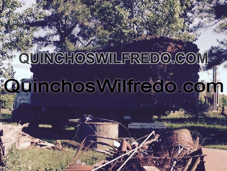 Quinchos Wilfredo