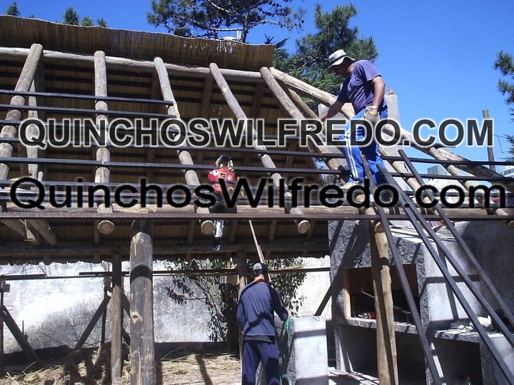 Quinchos Wilfredo