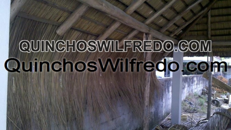 Quinchos Wilfredo