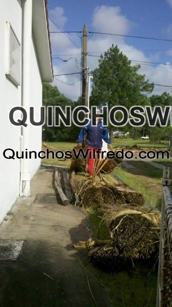 Quinchos Wilfredo