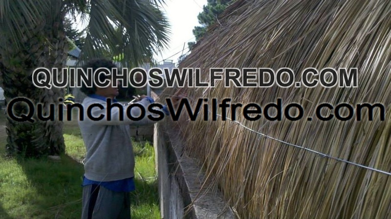 Quinchos Wilfredo