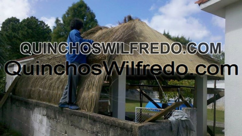 Quinchos Wilfredo