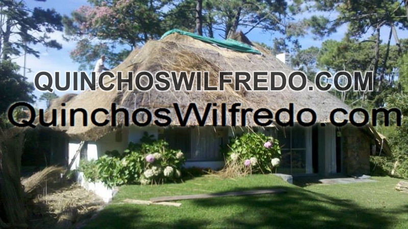 Quinchos Wilfredo