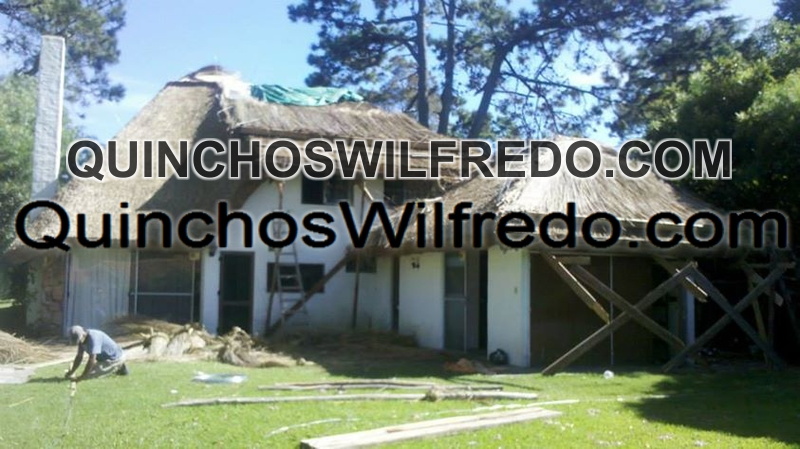 Quinchos Wilfredo