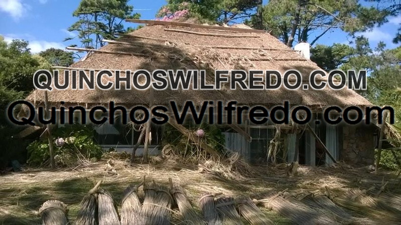 Quinchos Wilfredo