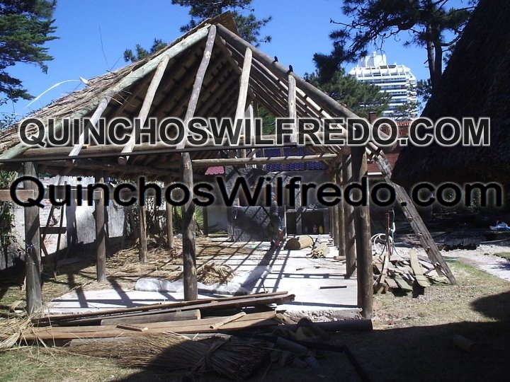 Quinchos Wilfredo