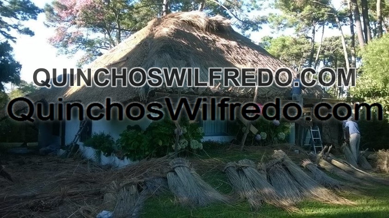 Quinchos Wilfredo