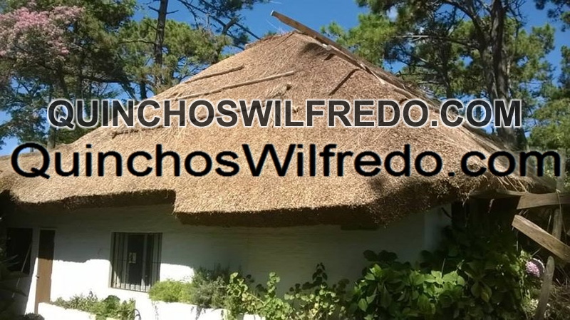 Quinchos Wilfredo
