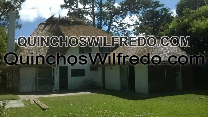 Quinchos Wilfredo