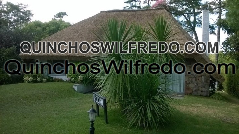 Quinchos Wilfredo