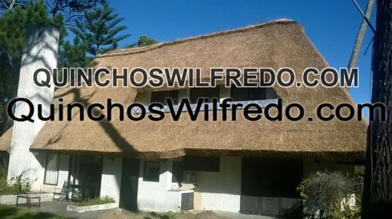 Quinchos Wilfredo