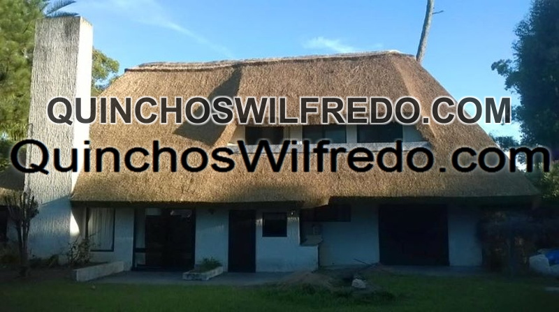 Quinchos Wilfredo