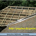 Quinchos Wilfredo