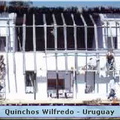 Quinchos Wilfredo
