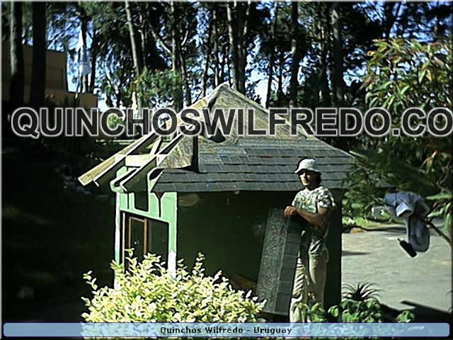 Quinchos Wilfredo